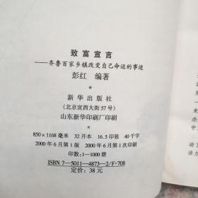 致富宣言-齐鲁百家乡镇改变自己命运的事迹