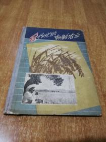 五十年代老画册《合作化的朝鲜农业》I6开精装，平壤1959年