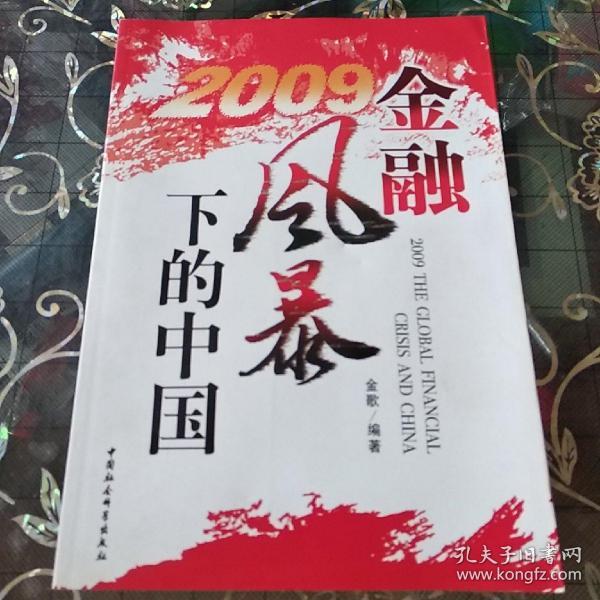 2009金融风暴下的中国