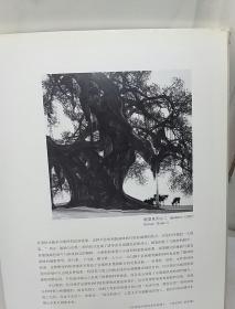 山泉古榕南国风——杜应强画展作品集·雅加达