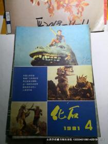 化石1981年第4期