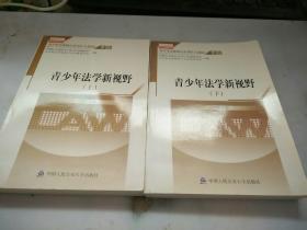 青少年法学新视野:近20年华政青少年犯罪研究成果