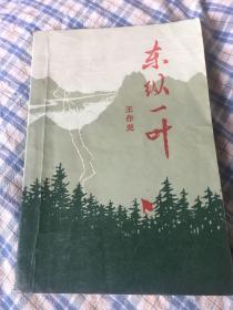 东纵一叶（东江纵队副司令王作尧回忆录）