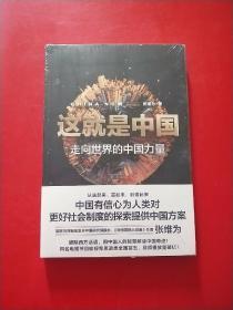 这就是中国:走向世界的中国力量   全新未开封