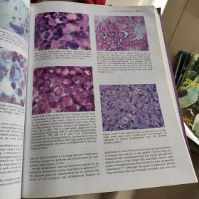 Diagnostic Cytology and Hematology of the Dog and Cat狗和猫细胞学及血液学诊断