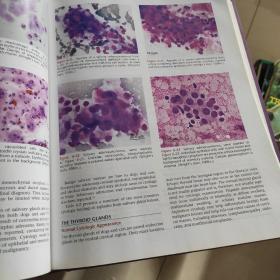 Diagnostic Cytology and Hematology of the Dog and Cat狗和猫细胞学及血液学诊断