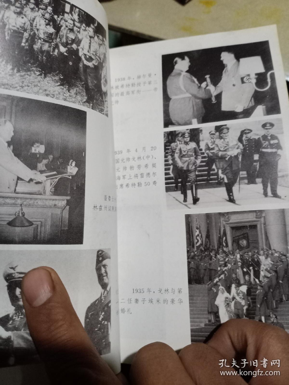 乱世枭雄戈林（二战将帅）