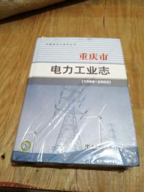 重庆市电力工业志:1986-2002