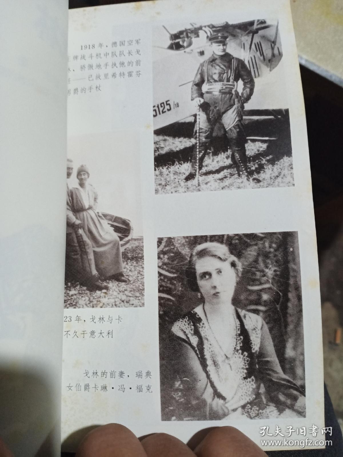 乱世枭雄戈林（二战将帅）