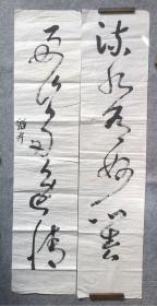 刘海粟与程十发弟子、著名画家、篆刻家 吴维奇 草书五言联，约7平尺