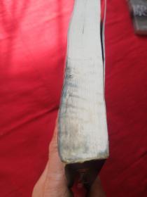 尸语者：公安厅从未公开的法医禁忌档案