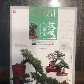 盆景设计收藏与鉴定