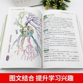 正版书籍新阅读小学生思维导图学习法小学生阅读超有效的学习训练方法四五六年级学生方法阅读中小学生思维导图阅读理解运用书籍