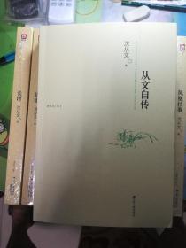 沈从文集（从文自传 凤凰往事 虎雏 八骏图 龙朱 从文家书 沈从文谈艺术 湘行散记 边城 长河）共十册