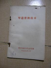 早造育秧技术
