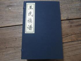 《王氏族谱（济阳王氏才兴公后裔族谱（光绪版））》 1函4册全