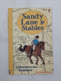 Sandy Lane Stables:Horse for the Summer