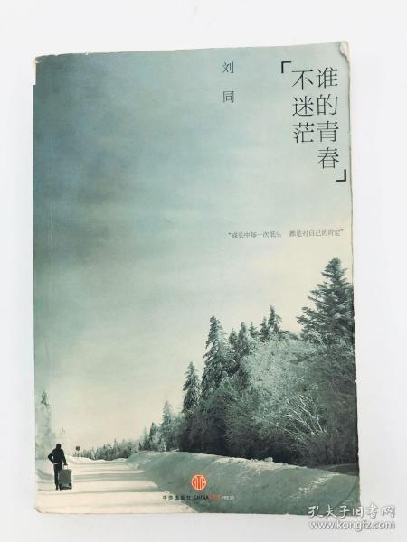 谁的青春不迷茫：一个奋斗小青年的逆袭人生