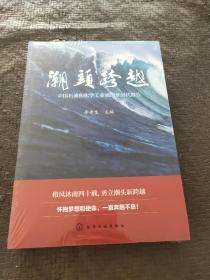 潮头跨越——中国石油和化学工业强国梦时代报告