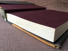 Drowning Ruth / 溺水迷情 （英语 精装）