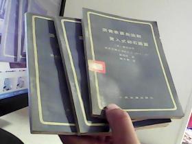 沥青表面处治和贯入式碎石路面【代售】馆藏