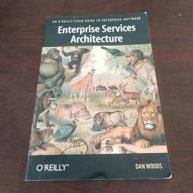 Enterprise Services Architecture (O'Reilly Field Guide to Enterprise Software)（英文 原版）