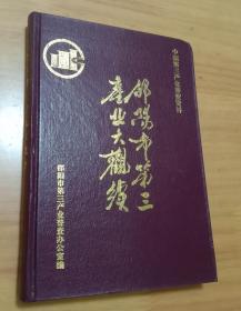 邵阳市第三产业大观续   精装