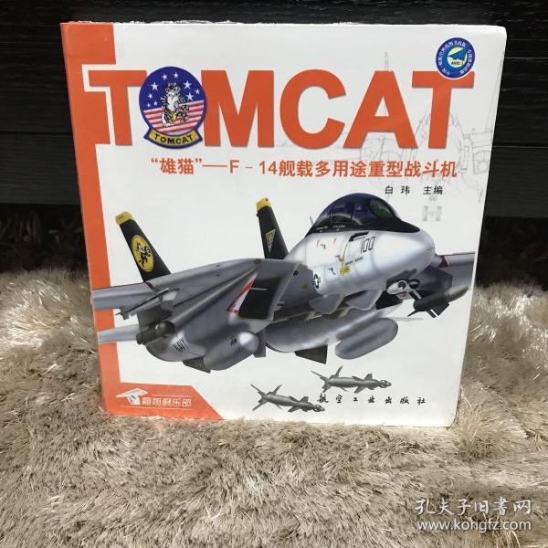 雄猫-F-14舰载多用途重型战斗机