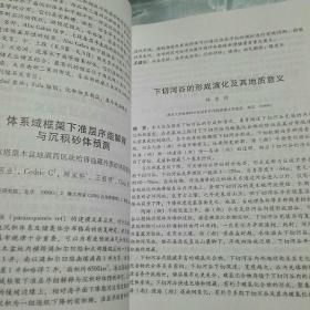 第八届古地理学与沉积学学术会议 论文摘要
中国大庆 2004.8.