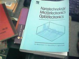 NANOTECHNOLOGY FOR MICROELECTRONICS AND OPTOELECTRONICS