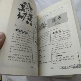 家庭实用中草药手册（全二册）