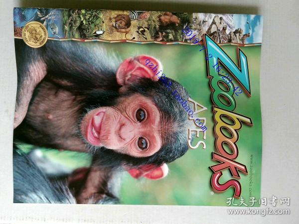 Zoobooks APES 英文儿童动物摄影 类人猿 英语学习资料