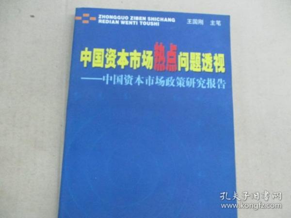 中国资本市场热点问题透视：中国资本市场政策研究报告