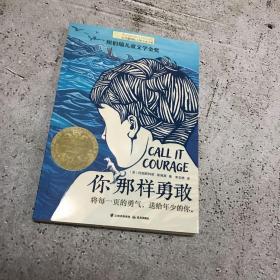 长青藤国际大奖小说第八辑·你那样勇敢