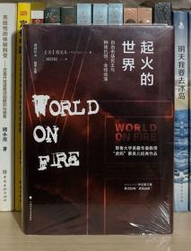 起火的世界：自由市场民主与种族仇恨、全球动荡（第二版）/雅理译丛（全新塑封）