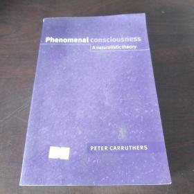 Phenomenal Consciousness: A Naturalistic Theory（英文 原版）