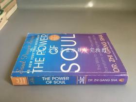 The Power of Soul: The Way to Heal, Rejuvenate, Transform, and Enlighten All Life （灵魂的力量）