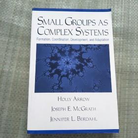 SMALL GROUPS AS COMPLEX SYSTEMS（小群体作为复杂系统）平装 库存