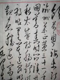 毛体书法  手札 敬錄毛主席诗词《七律.和柳亚子先生》 xd43