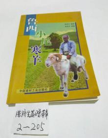 鲁西小尾寒羊