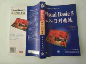 Visual Basic 5从入门到精通