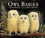 Owl Babies