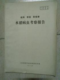 《越南、泰国、柬埔寨》水稻病虫考察报告