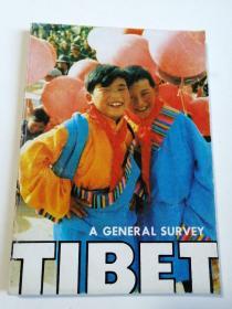 包邮 A GENERAL SURVEY OF TIBET First Edition 1988 英文 西藏概览1988年第一期