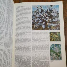 READER'S DIGEST ENCYCLOPEDIA OF GARDEN PLANTS AND FLOWERS【封面压花镀金，无护封】