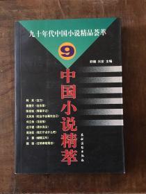 中国小说精萃:九十年代中国小说精品荟萃.9