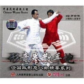 罗金华 沙国政形意八卦精要 形意拳 4VCD