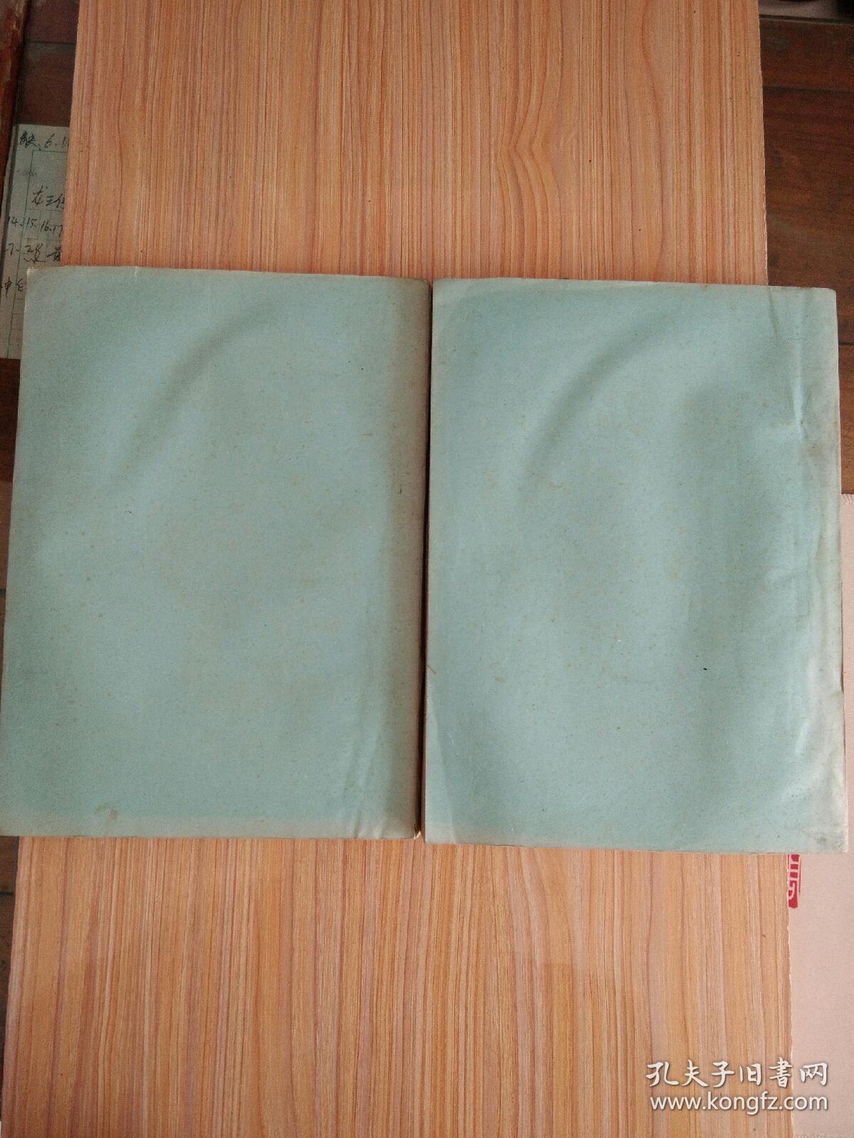 抗菌素制造工艺学（上、下）【油印本】