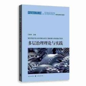 多层治理理论与实践