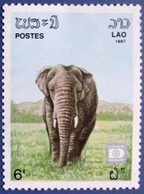 亚洲大象全新邮票--老挝邮票--早期外国邮票甩卖--实拍--包真